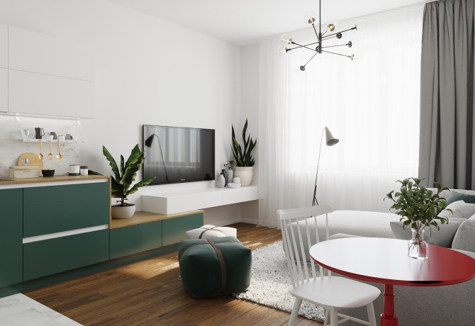 Small apartment reconstruction